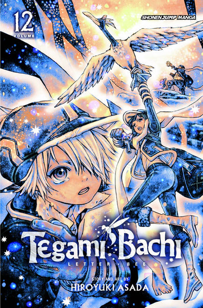 TEGAMI BACHI GN VOL 12 (C: 1-0-1)